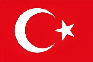 UAE Flag